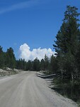 42. Gravelpad in Femundsmarka Nat.Park