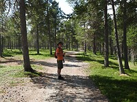 44. Rondwandeling in Elgå