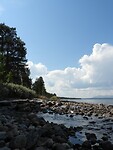 45. Femundsmarka Nat. Park