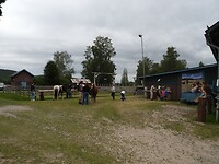 66. Paarden verzorgen en aaien