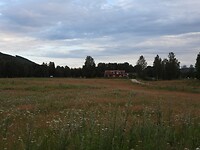 68. Het Zweedse landschap