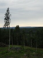 69. Uitkijken over het landschap vanuit het bos