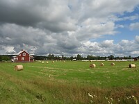 76. Landschap in Värmlands län