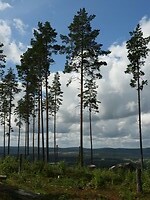78. Route Tre Toppar, waar we één van doen
