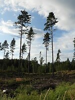 86. De omgeving van Östergötland in Zuid-Zweden