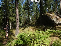 96. Reint zoekt een geocache