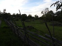 103. Eeuwenoude weide bij Misterfall