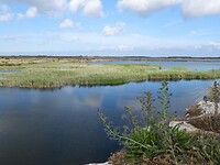 123. Het groene deel van de groeve
