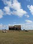 129. Een vrij kaal landschap
