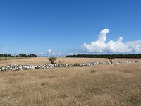 131. Lege vlakte voordat we het bos ingaan
