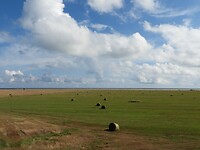 135. Ottenby Natuurreservaat