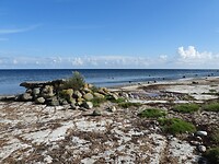 139. De oostkust van Öland