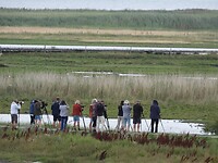 142. Vogelspotters in Beijershamns Naturreservat
