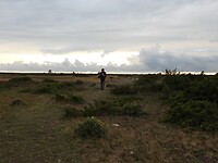 157. Stora Alvaret natuurgebied