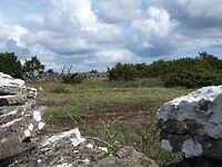 164. Stora Alvaret, één van de vele trapjes