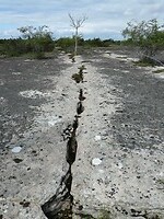 166. Scheuren in de kalkstenen grond