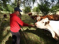 181. Reint gaat ze voeren