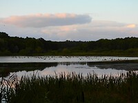200. Fulltofta Naturreservat
