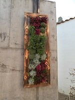 216. Verticaal tuinieren is hier ook hip