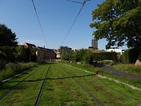 217. Hoe groen kan een trambaan zijn...