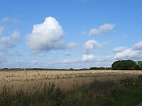221 Heerlijk weer in Zuid-Jutland