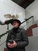 61. Stilzitten, ik zet een uil op uw hoed