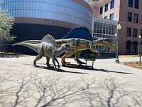 Dino’s