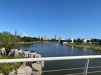 Bridge