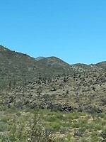 Niet één maar een berg vol cactussen (?)