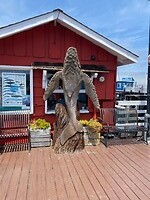 The Whale