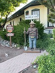 IMG_8240
