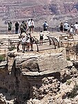 IMG_8256