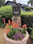 IMG_0370