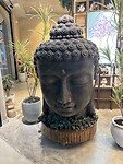 IMG_0441