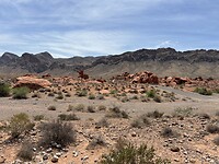 IMG_0205