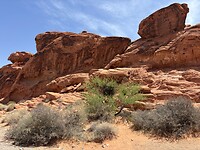 IMG_0214