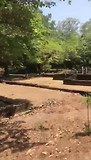VID-20180724-WA0022