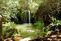 IMG_0931