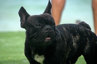 IMG_1366