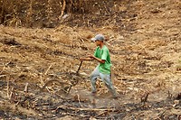IMG_1467