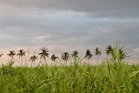 IMG_1640