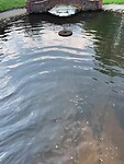 Belmontas - Waar het water verder gaat richting kleine watervallen