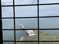 The Needles vanuit de bunker
