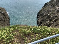 Sark
