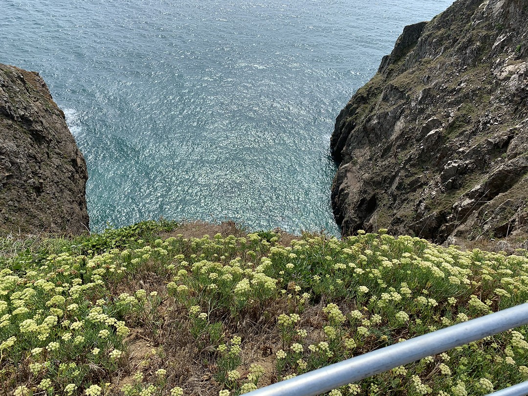 Sark