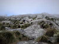 IMG_0103kopie