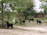 DSC04611kopie33
