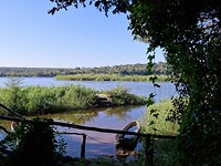 kopie13