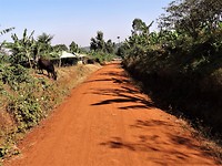 DSC01940kopieeind3