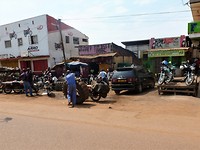 koppie